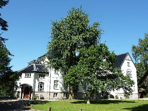 Vænget (Sorø Academy)