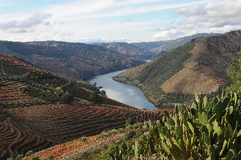 Valença Do Douro