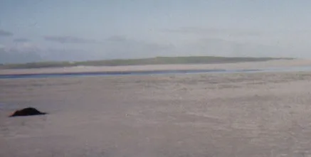 Vallay Island From Shore At Low Tide