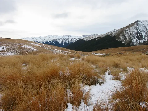 View Of Mole Tops And Mahanga Range From Mole Saddle Panoramio
