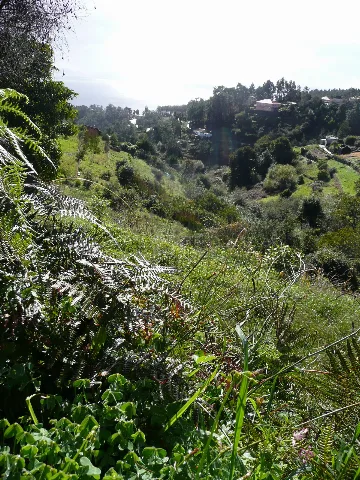 Vista Da Levada Nos Prazeres