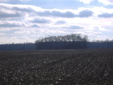 W.c. Clemmons Mound