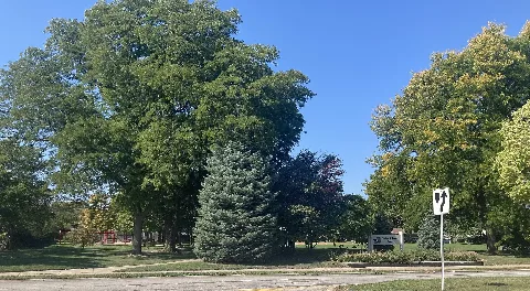 Walter J. Lauth Park, Skokie, Il