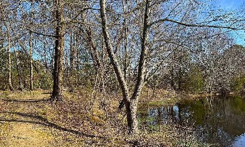 West End Lake Dam