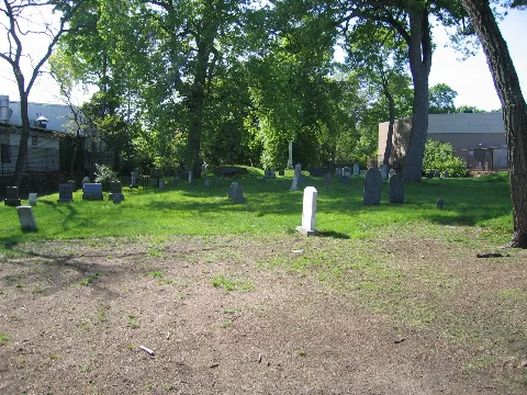 Westerlybg2