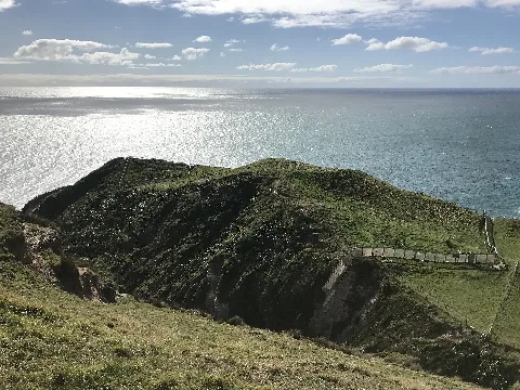 Wharariki Ecosanctuary 366