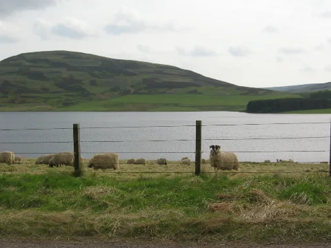 Whiteadderreservoir01