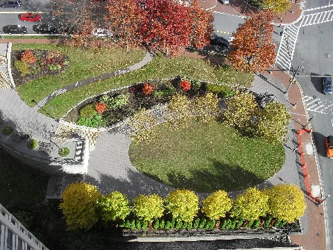 Willoughby Park As Seen From Above
