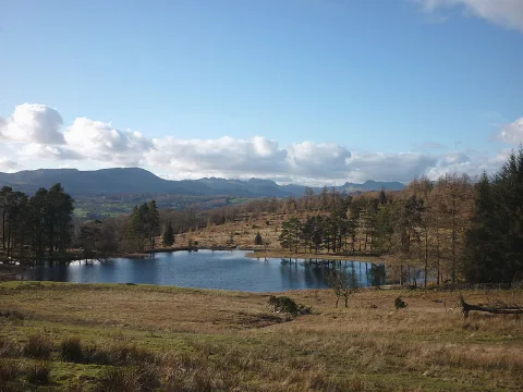 Wraymires Tarn Geograph.org.uk