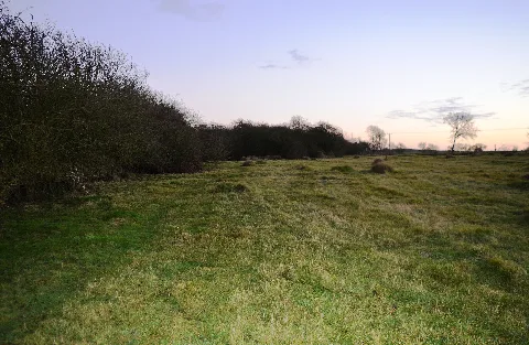 Wymington Meadow 5