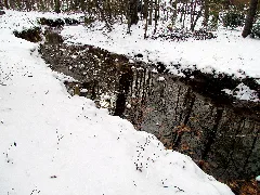 01 Snow Cary Nc 7927 (12484649604)