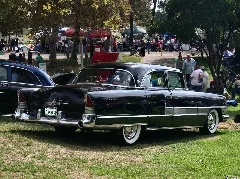 1955 Packard Patrician 4Dr Sedan Rear
