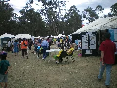 2008 Manningham Spring Festival4