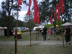 2008 Manningham Spring Festival7