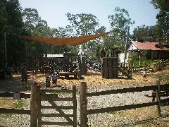 2009 Warrandyte Pottery Expo5