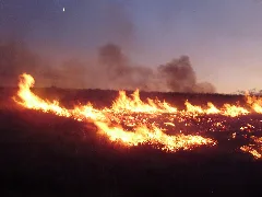 2011 08 04 20 00 00 Susie Fire In The Adobe Range West Of Elko Nevada