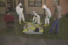 2011 10 05; Meth Cleanup At Rice Terrace In Bristol, Virginia (6215523102)