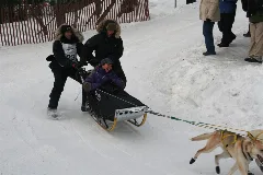 2011 Iditarod (5501740010)