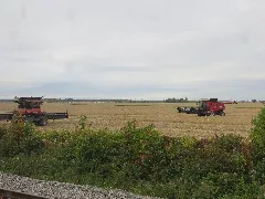 20161001 07 Ontario (25382626928)