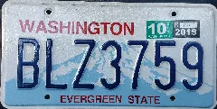 2017 Washington Plate