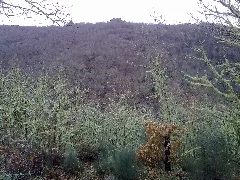 76382042 Fragas De S.xoan De Rio