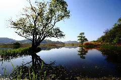 A Reflection Of Upo Wetlands (106819281)