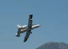 A10 Warthog (165991605)