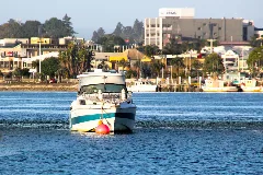 Abaconda Boat Tauranga