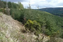 Above The Camcor River Valley Geograph.org.uk 1254067
