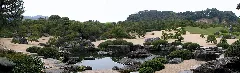 Adachi Museum Of Art Garden