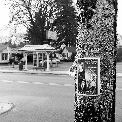 Advertising Space