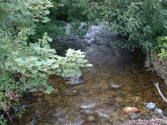 Afon Rhaeadr Fawr Geograph.org.uk 48984