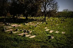 Africatown Cemetery