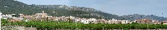Alcoverpanoramic