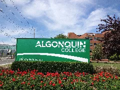 Algonquincollegenewsign