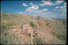 Alibates Flint National Monument, Texas (698D9A60 B828 44A3 8Caa 2A74A0F54Aa9)