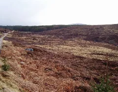 Allt Borgidh Beag Geograph.org.uk 158763