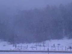 Alpine Snowstorm (5317541501)