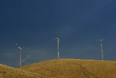 Altamont Pass Wind Farm 2759162772