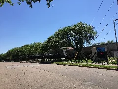 Andersoneshouston