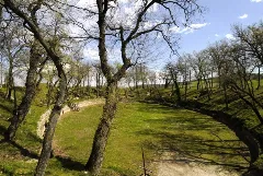 Anfiteatro Urbs Salvia