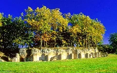 Anfiteatro Urbs Salvia1