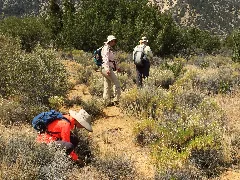 Angeles Nf Archaeological Survey (27252015603)