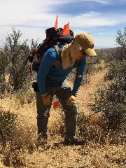 Angeles Nf Archaeological Survey (27252016133)