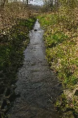 Aniolowka 02