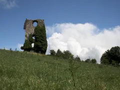 Annagh Castle Geograph.org.uk 1388004
