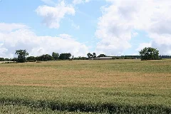 Ardoch Farm Amongst The Ripening Barley. Geograph.org.uk 207486
