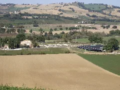 Area Archeologica Di Suasa Foro E Domus Dei Coiedii Vista Dalla Collina