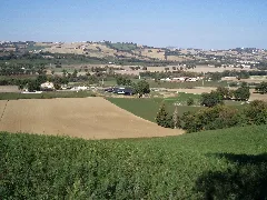 Area Archeologica Di Suasa Vista Dalla Collina 1