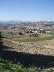 Area Archeologica Di Suasa Vista Dalla Croce Del Termine 1